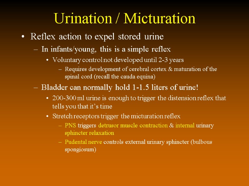Urination / Micturation Reflex action to expel stored urine In infants/young, this is a